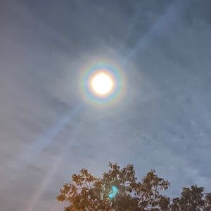 Meet your Posher, Yaritza